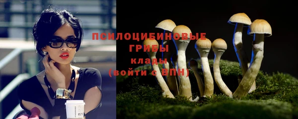 амф Надым