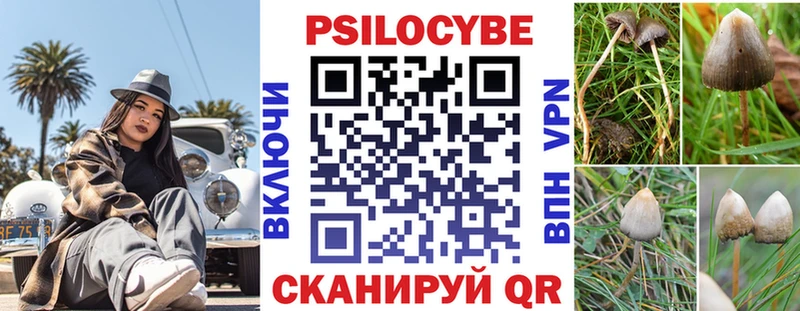 Псилоцибиновые грибы Magic Shrooms  где можно купить   Правдинск 